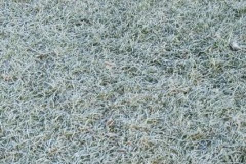 Frost