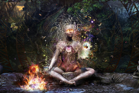 Cat Food And Consciousness