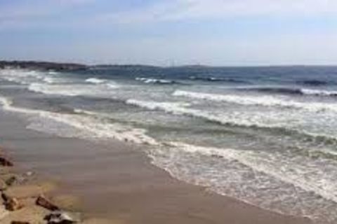Swirling Sea-Steaming Sake-Surreal Sunday