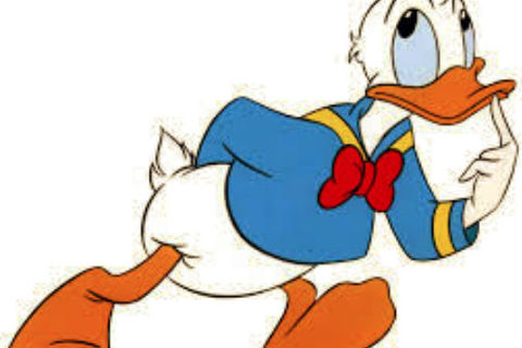 Quacks Like A Duck