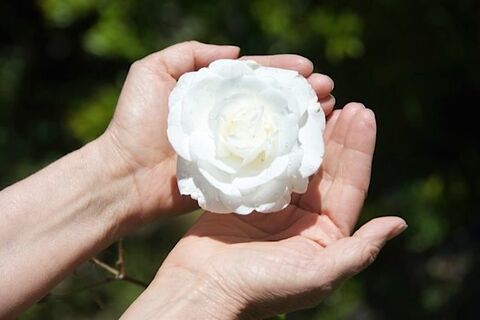 BEAUTIFUL HEARTS AND GENTLE HANDS