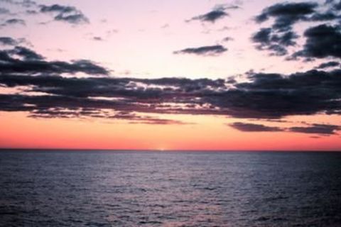 What will a day bring 