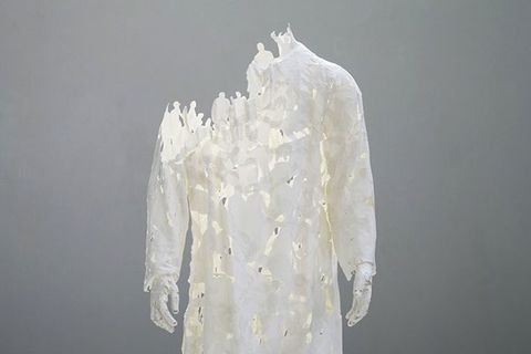 LIMESTONE PLUMAGE