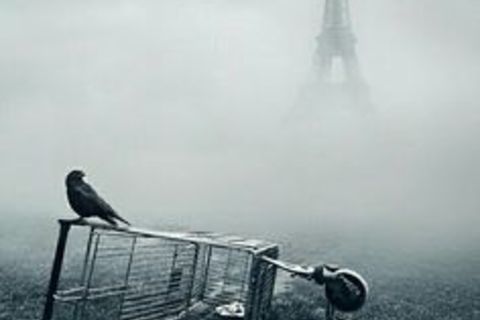 The fog should clear all that&#039;s blur