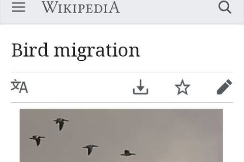 Migration