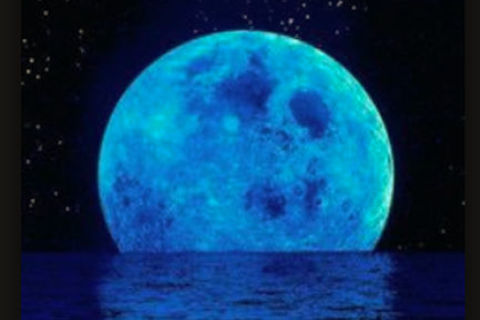 Blue Moonies