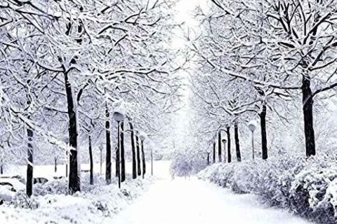 Winter