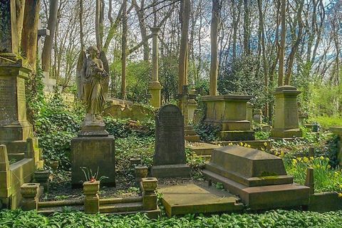 Life Beyond Death 