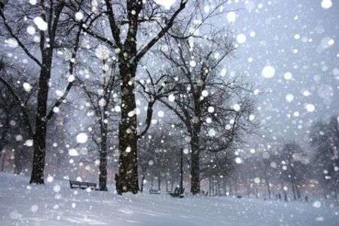 First snow