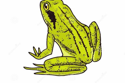 THE OLD FROG OF TENNESSEE