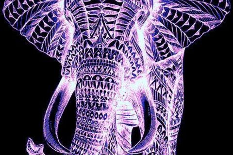 Imagination 
