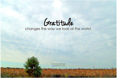 Gratitude