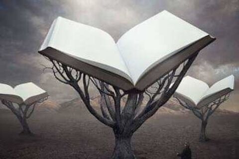 Life is like an open book...