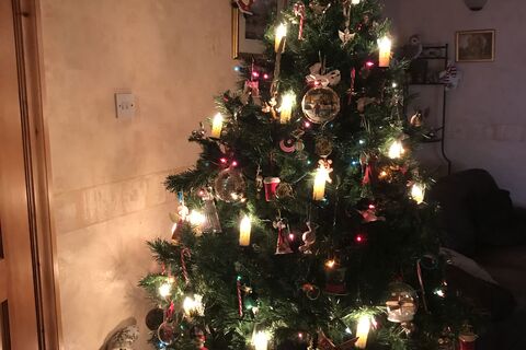 My Christmas tree ?❤️