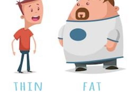 FAT PAT AND SLIM JIM