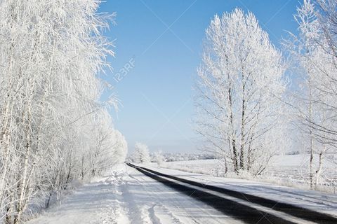 JACK FROST 