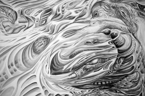 HURRICANE TEETH