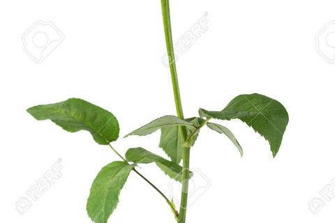 My first poem published in  an anthology