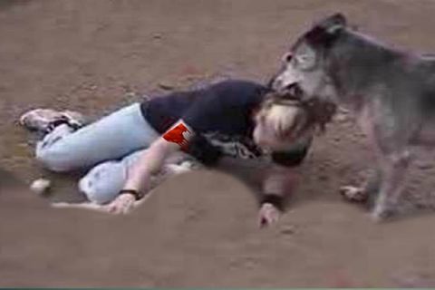 FALSE RUMOURS - A FELLOW CALLED BULF