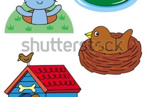 ANIMAL HOMES