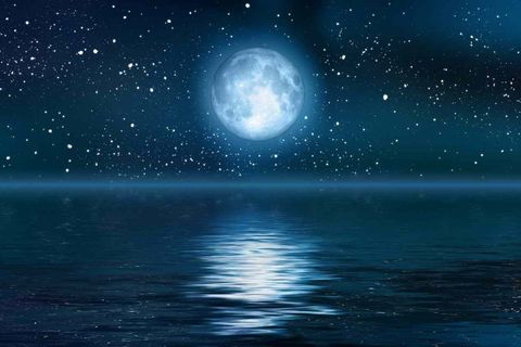 Starlight