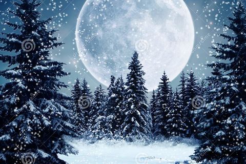 Winter 