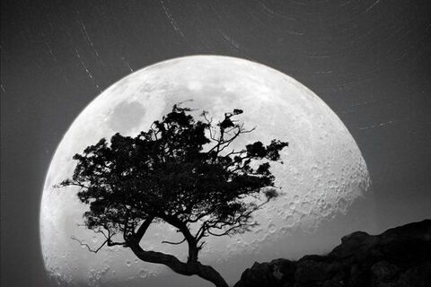Moonchild...