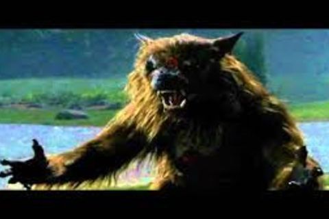 Nature of the beast