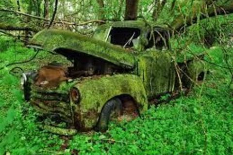 Moss Cowed Covenant I Keep Putin Off...