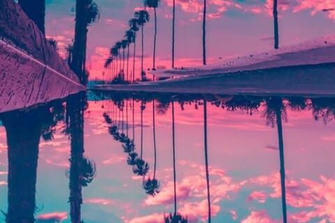 Dreams 