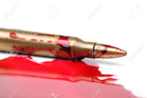 Bloodshed