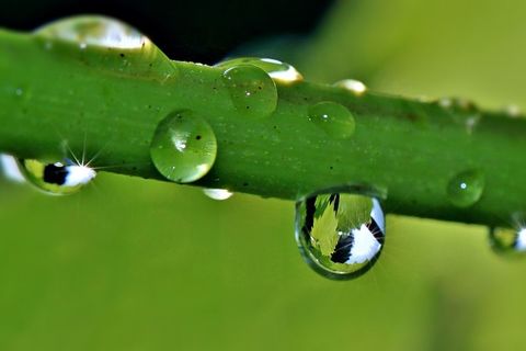 Philosophy of a Raindrop