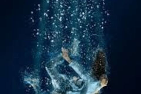 Dispicable Dreams?