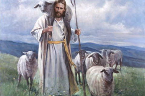 Shepherd