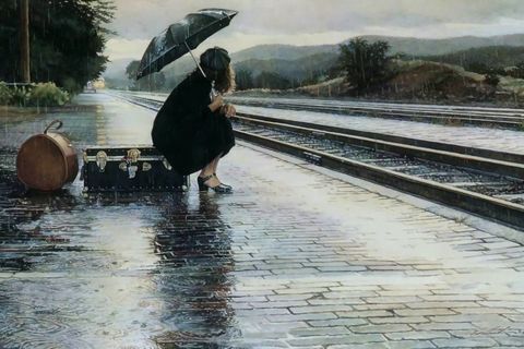 Missed human connection on the overnight sleeper (story of my life) 