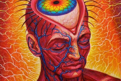 Third-Eye