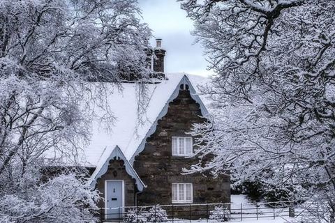 Winter