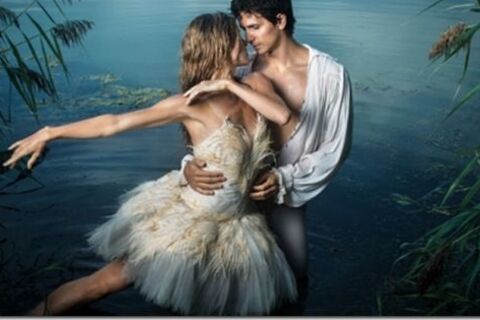 Swan