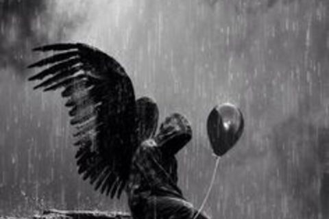Free Spirit