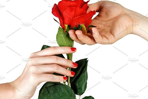 The Bloom of Love!