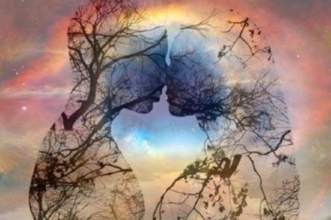 The World Is So Afraid Of Love