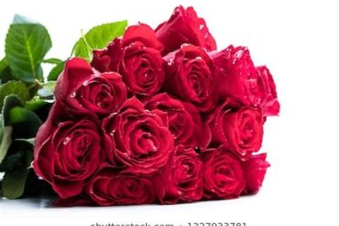 Tribute of roses