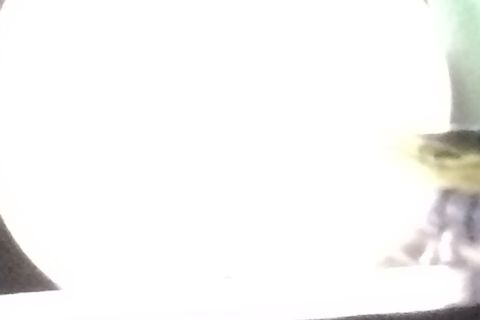 She 