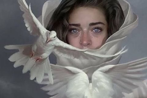 Lily’s World