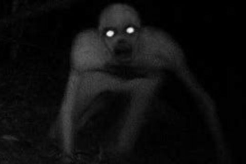 Our Darkness