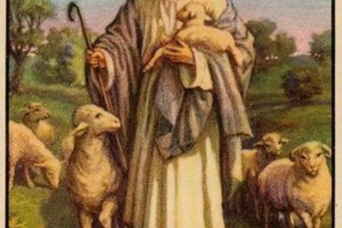 Shepherd 