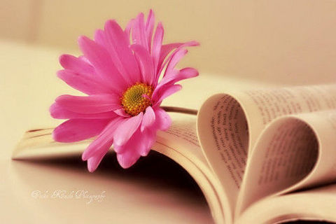 My heart of love