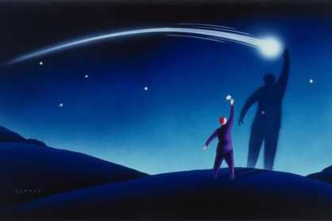 Catch a star