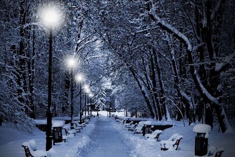Falling Snow