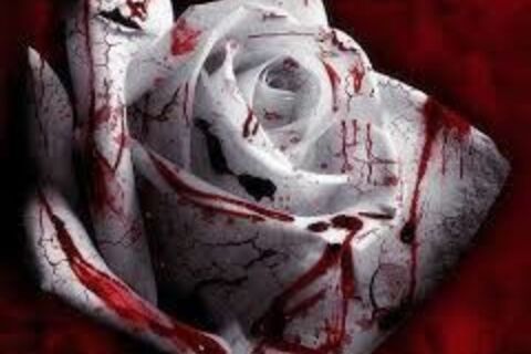 This Quiescent Flower, Ever Bleeding